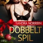 Dobbeltspil - Erotisk julenovelle