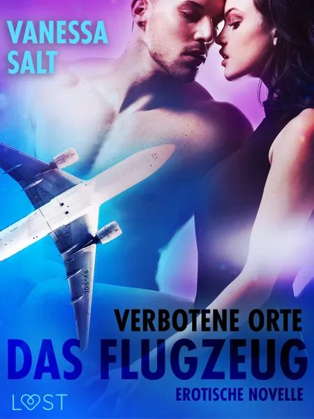 Verbotene Orte: Das Flugzeug - Erotische Novelle af Vanessa Salt