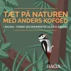 I skoven - Stærke skovkammerater og rock and roll