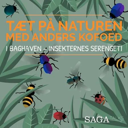 I baghaven - Insekternes Serengeti af Anders Kofoed