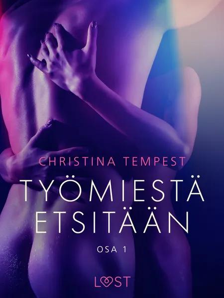 Työmiestä etsitään Osa 1 - eroottinen novelli af Christina Tempest