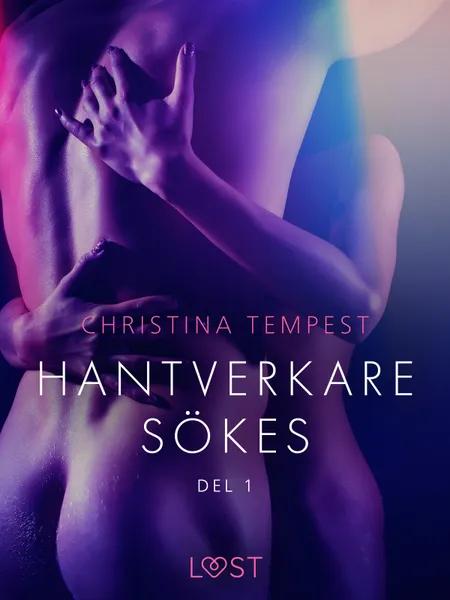 Hantverkare sökes Del 1 - erotisk novell af Christina Tempest