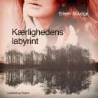 Kærlighedens labyrint