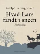 Hvad Lars fandt i sneen. Fortælling