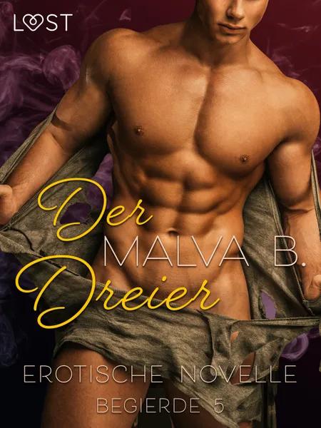 Begierde 5 - Der Dreier: Erotische Novelle af Malva B.