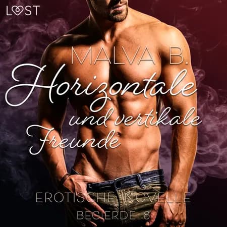 Begierde 6 - Horizontale und vertikale Freunde: Erotische Novelle af Malva B