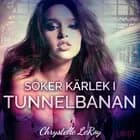 Söker kärlek i tunnelbanan - erotisk novell