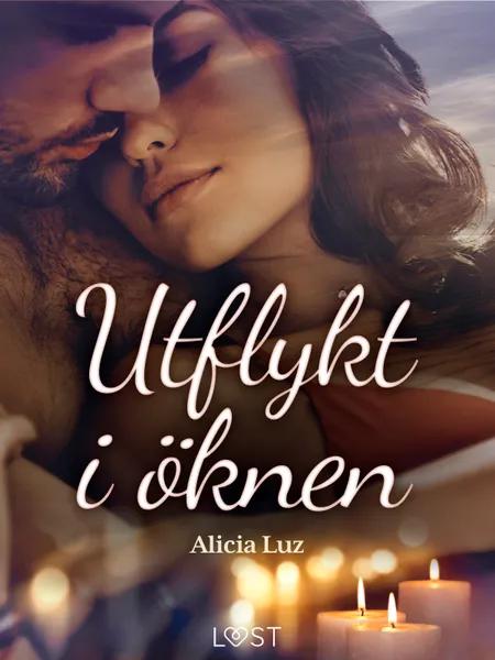 Utflykt i öknen - erotisk novell af Alicia Luz
