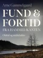 Fund og fortid fra Hammel-kanten. Oldtid og middelalder