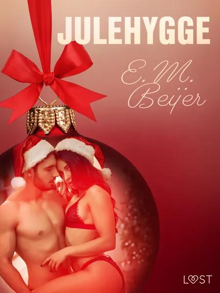 9. december: Julehygge - en erotisk julekalender af E. M. Beijer