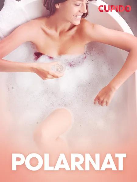 Polarnat - erotiske noveller af Cupido