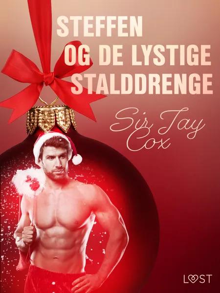 13. december: Steffen og de lystige stalddrenge - en erotisk julekalender af Sir Jay Cox