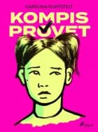 Kompisprovet