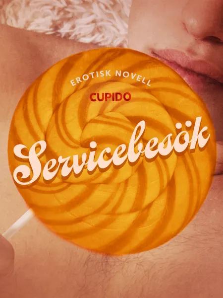 Servicebesök - erotisk novell af Cupido
