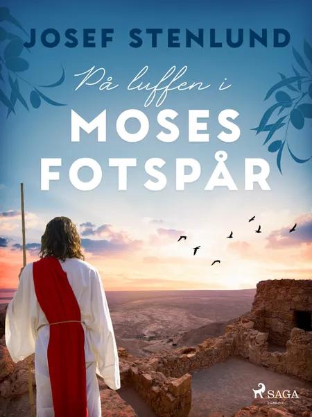 På luffen i Moses fotspår af Josef Stenlund