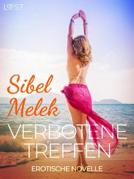Verbotene Treffen - Erotische Novelle af Sibel Melek
