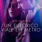 Un eufórico viaje en metro - un cuento corto erótico
