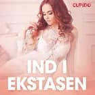 Ind i ekstasen - erotiske noveller af Cupido