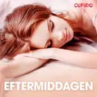Eftermiddagen - erotiske noveller
