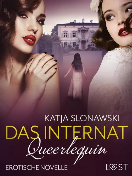 Queerlequin 14: Das Internat af Katja Slonawski