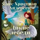 Дикие лебеди
