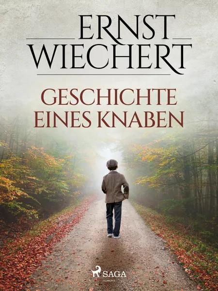 Geschichte eines Knaben af Ernst Wiechert