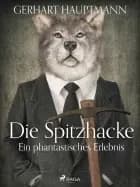 Die spitzhacke - ein phantastisches erlebnis