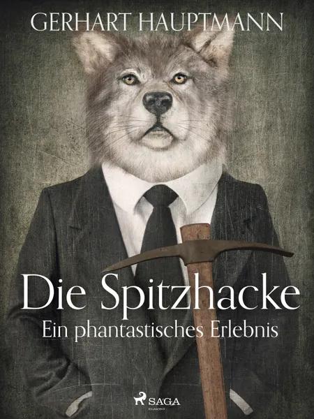 Die Spitzhacke - Ein phantastisches Erlebnis af Gerhart Hauptmann
