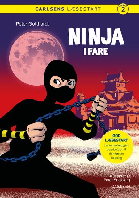 Ninja i fare af Peter Gotthardt