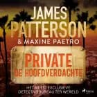 Private: De hoofdverdachte