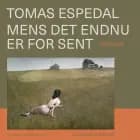 Mens det endnu er for sent