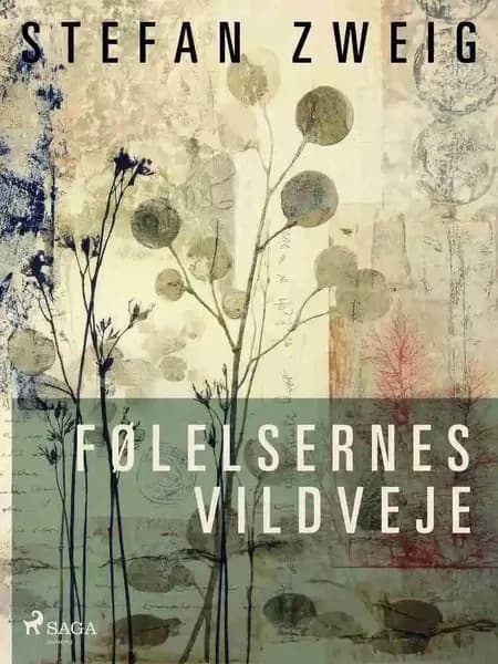 Følelsernes vildveje af Stefan Zweig
