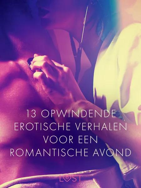 13 opwindende erotische verhalen voor een romantische avond af Elena Lund