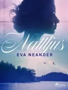 Nattljus