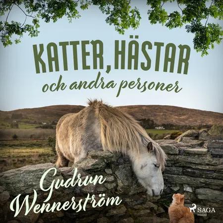 Katter, hästar och andra personer af Gudrun Wennerström