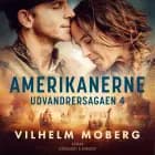 Amerikanerne