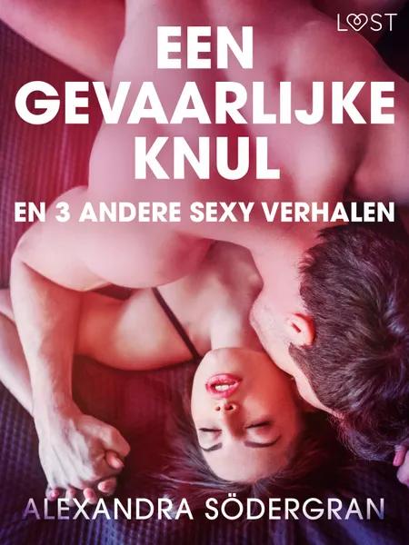 Een gevaarlijke knul en 3 andere sexy verhalen af Alexandra Södergran