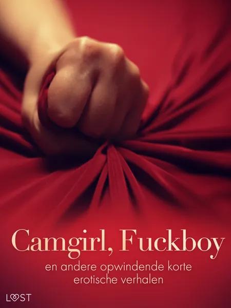 Camgirl, Fuckboy en andere opwindende korte erotische verhalen af Lisa Vild
