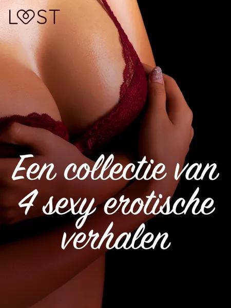 Een collectie van 4 sexy erotische verhalen af Camille Bech
