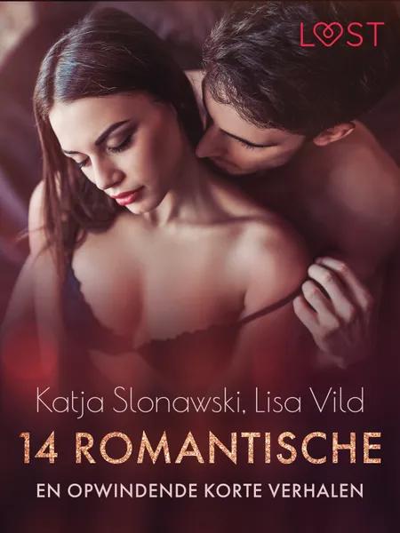 14 romantische en opwindende korte verhalen - een erotische verzameling af Lisa Vild