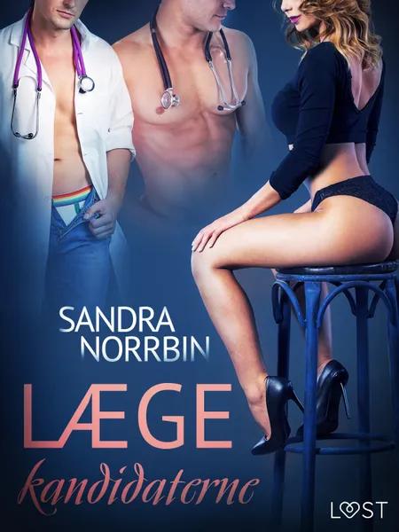 Lægekandidaterne - erotisk novelle af Sandra Norrbin