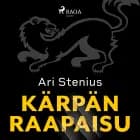 Kärpän raapaisu