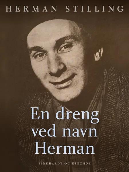 En dreng ved navn Herman af Herman Stilling
