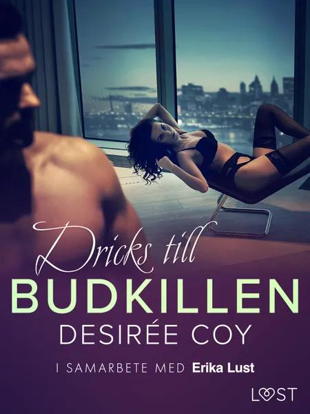 Dricks till budkillen - erotisk novell af Desirée Coy