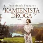 Kamienista droga