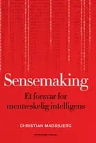 Sensemaking