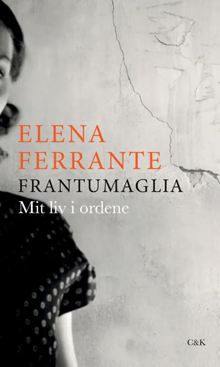 Frantumaglia af Elena Ferrante