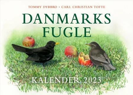 Danmarks fugle - kalender 2023 af Carl Christian Tofte