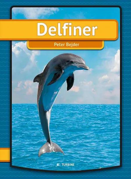 Delfiner 