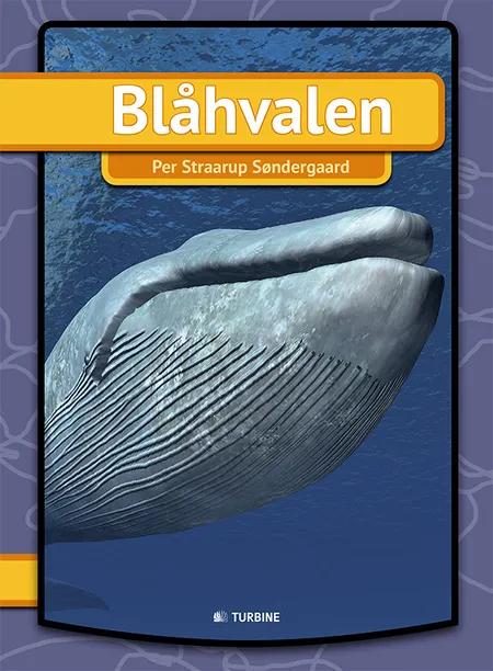 Blåhvalen af Per Straarup Søndergaard